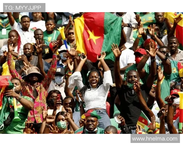 埃尔及利与几内亚激战正酣谁将赢得这场非洲足球盛宴