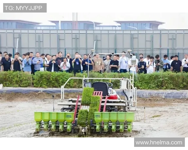 摩顿与南部女王比赛前瞻分析及双方近期状态对比探讨