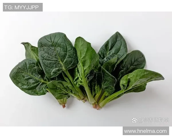 探索谷菜的营养价值与健康益处，开启绿色饮食新篇章