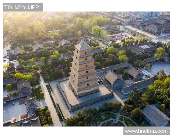 秦利文：探索历史与现代交融的文化使者之路